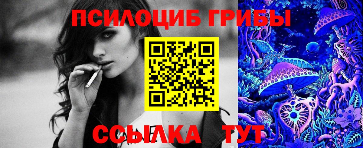 Галлюциногенные грибы MAGIC MUSHROOMS Казань